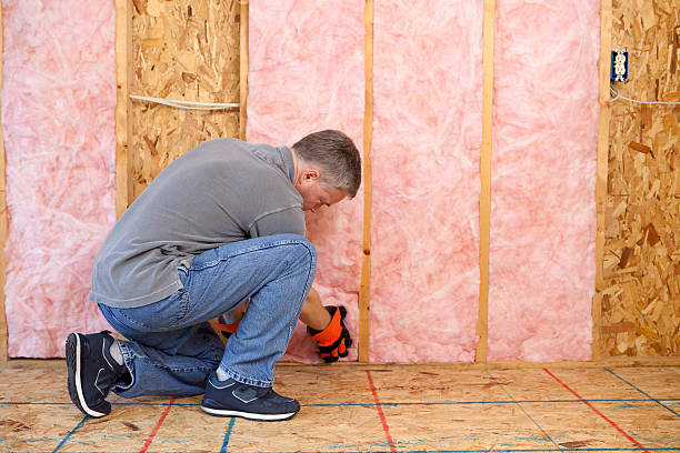 Best Energy Efficiency Insulation in Emmett, ID