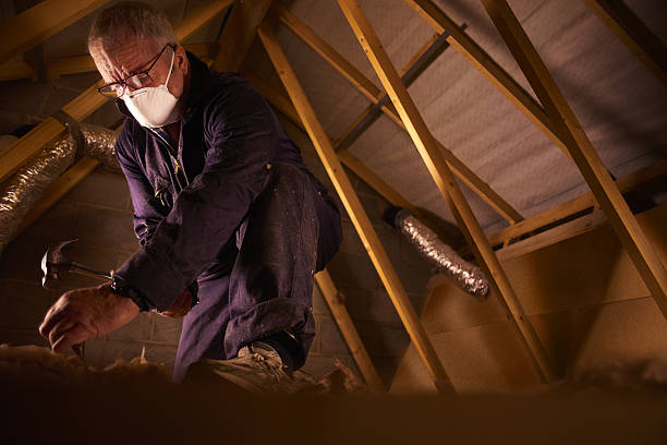 Trusted Emmett, ID Insulation Contractor Experts